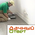 Однополосный Дуб Дождь в передаче "Дачный ответ"