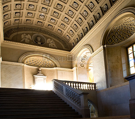 University Library of Pavia