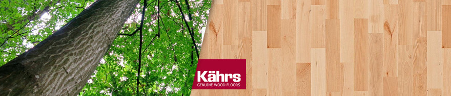 Бук паркетная доска Kahrs в интерьере